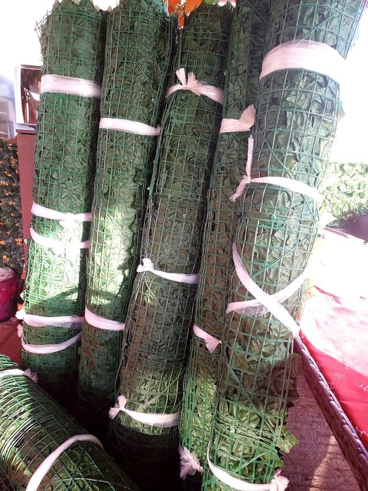 Role Gard Iedera 2x10 Metri 2x7 Metri