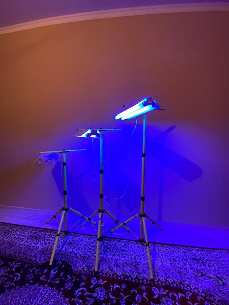 Фотолампы лампы ультрафиолет от желтухи желтушки билирубина