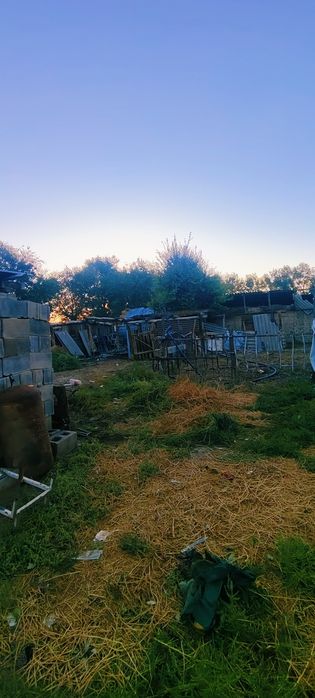 Продам дом срочно