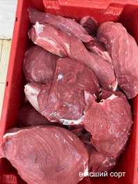 Мясо говядина, конина без костей в коробках (замороженное)