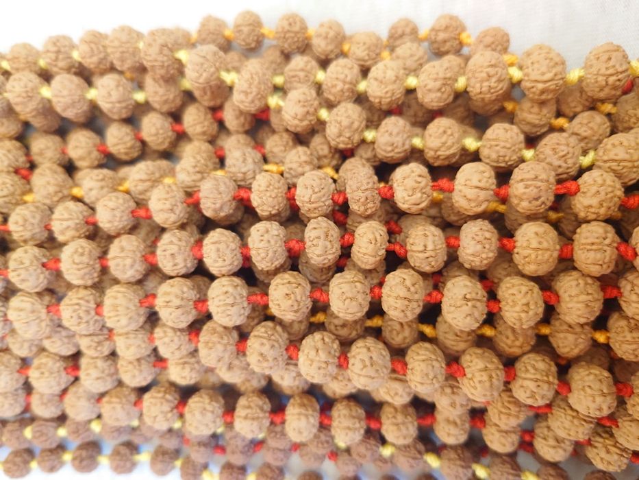 Coliere rudraksha naturale hand made