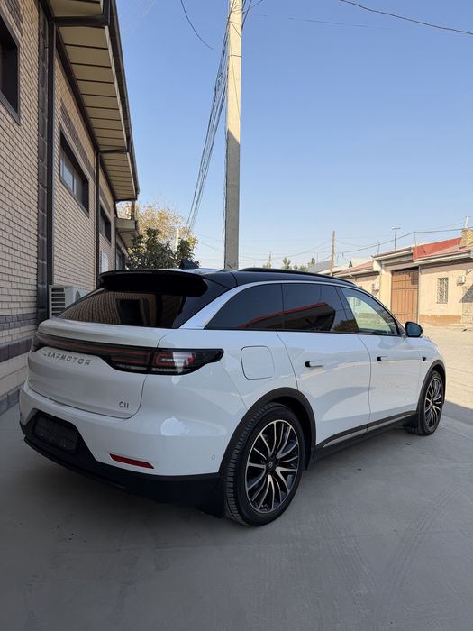 Leap Motor C11 90КВ батарея