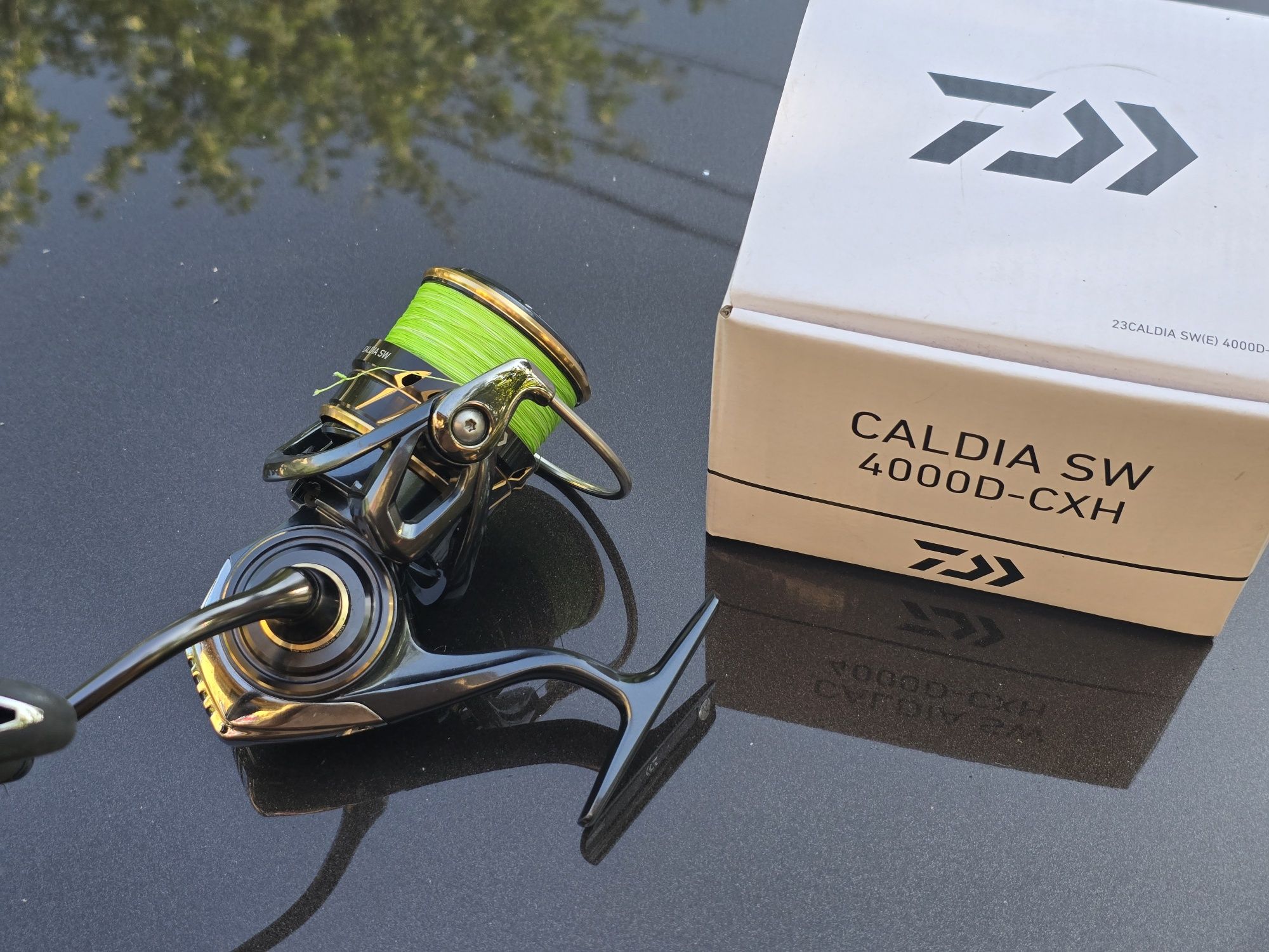 Mulineta Daiwa Caldia SW 4000D