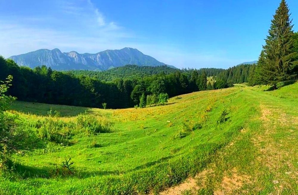 De vânzare teren intravilan – Trei Brazi, Predeal