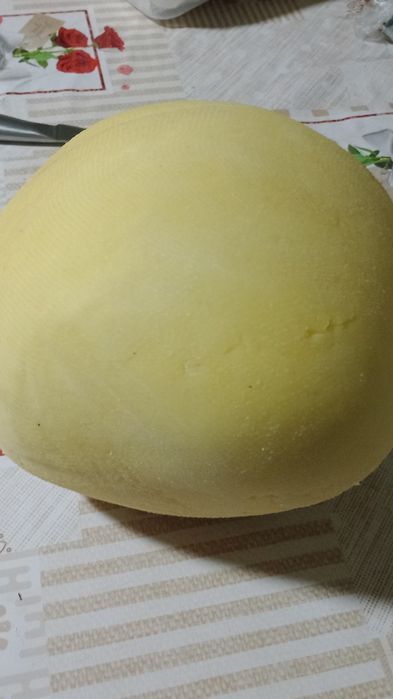 Disponibil  Brînză cu Cheag