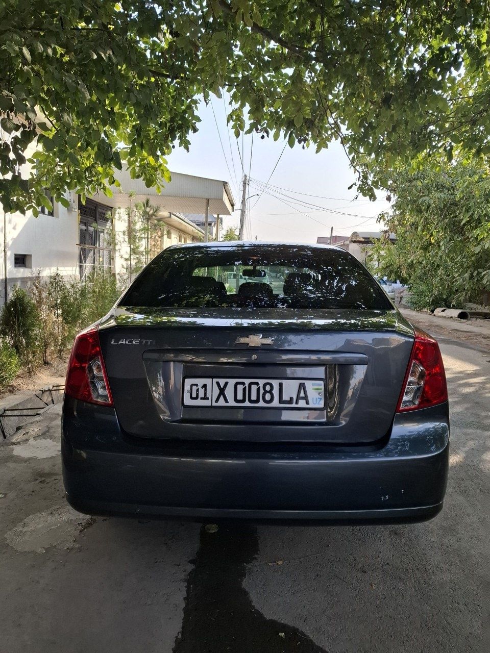 Жентра 2019. Фулл опс