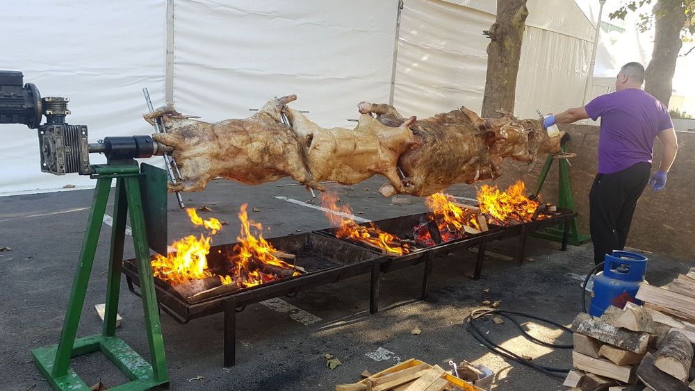 Animale protap rotisor nunti botezuri evenimente