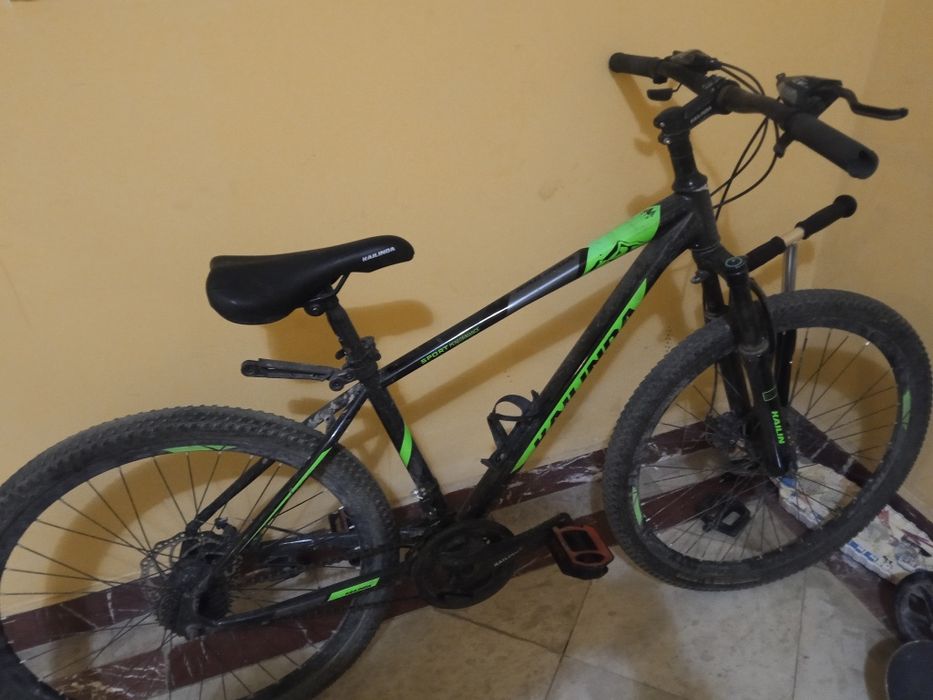 Велик средний горный