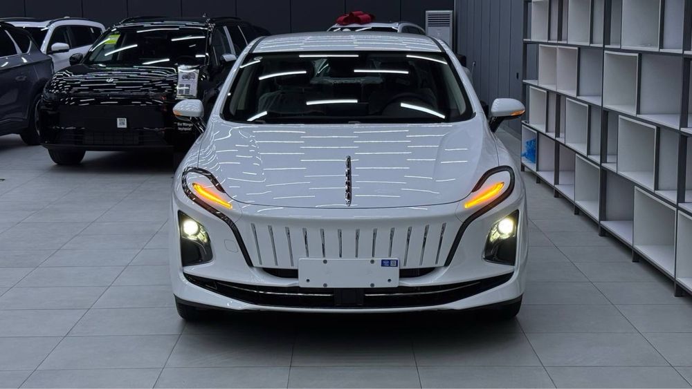 Hongqi eqm 5.  500 km. Full.