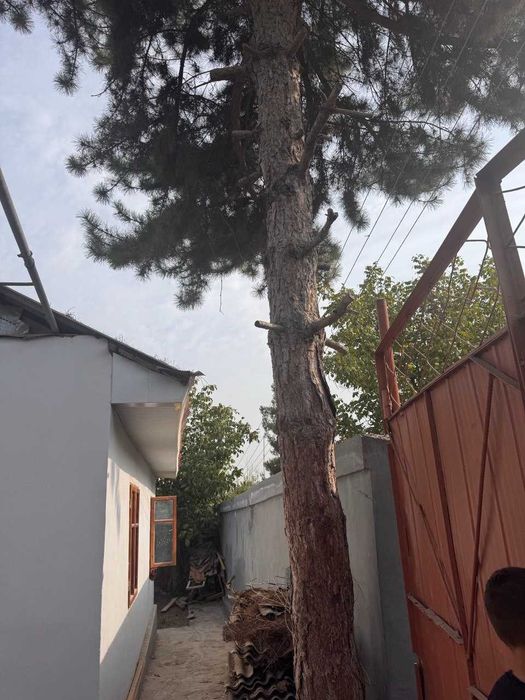 Продаётся уютная дача!!! Для тех, кто мечтает о покое и чистом воздухе