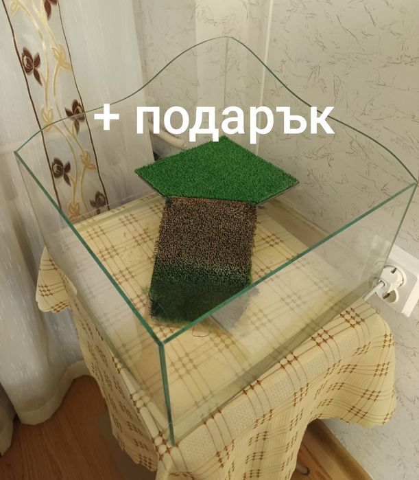 Терариум за костенурки