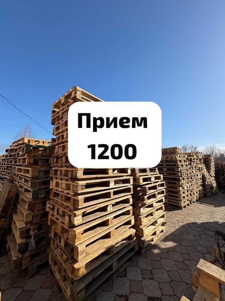 Прием поддонов !!!