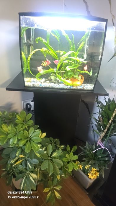 Продавам аквариум със стойка на немската марка FLUVAL FLEX 57L