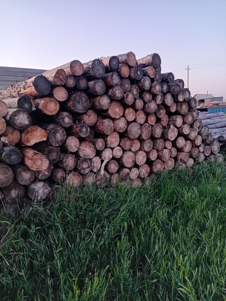 Продам дрова столбы