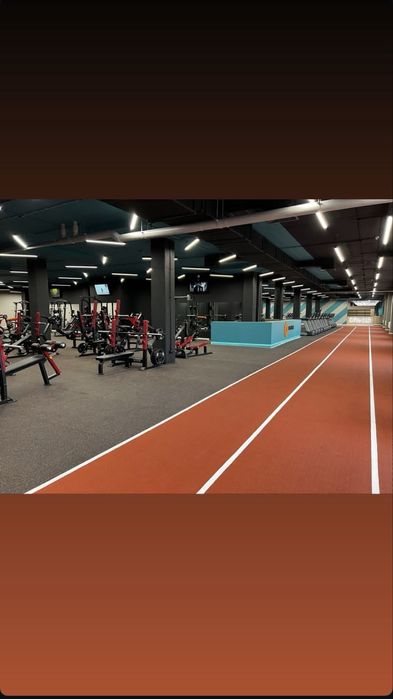 Paluan Health&Fitness Абонемент на 8 месяцов