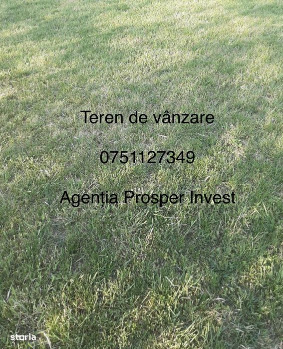 Teren 23000mp Brailita 80/30m