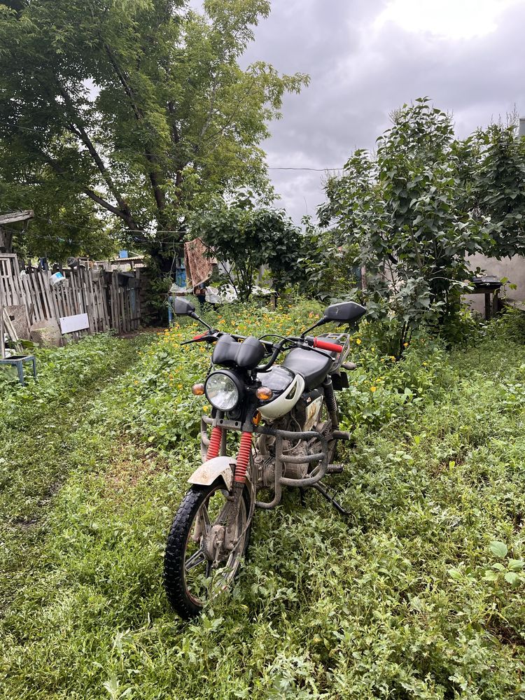 Продам Almotor