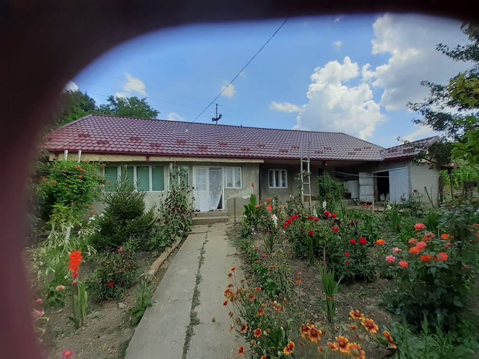 Vand casa si teren in Cantalaresti