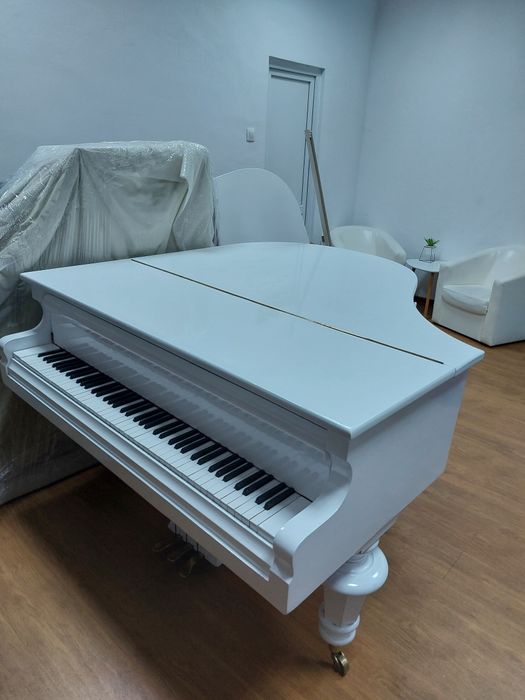 Pian Karl Hamburger(transport gratuit, garanție)