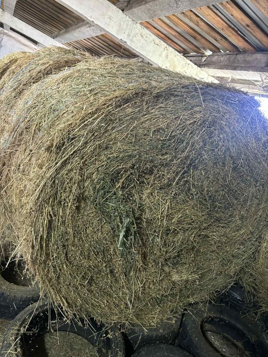 Vând Baloti de lucernă