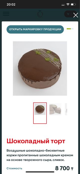 Торт шоколадный Кулпынай