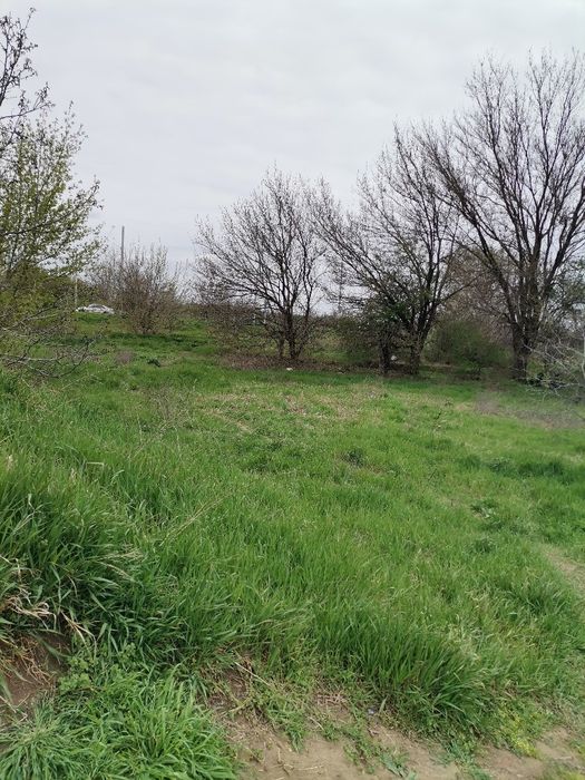 Продава се Парцел в Видин, Гео Милев - 392 кв.м за 53 €/кв.м - Снимка #8