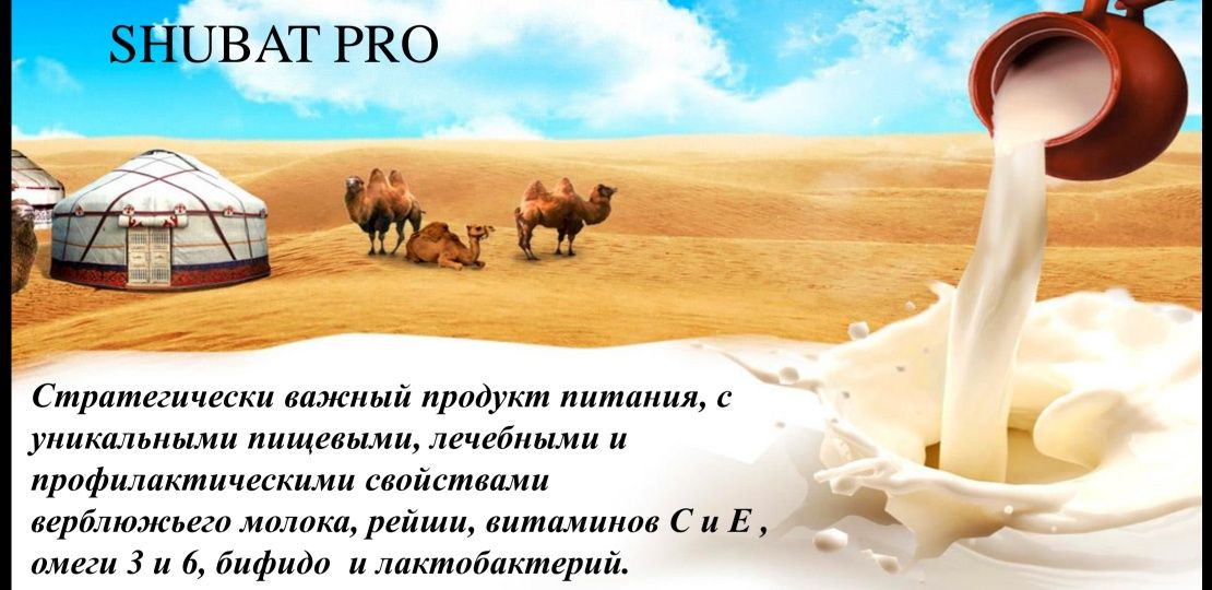 ШУБАТ-ПРО верблюжье молоко