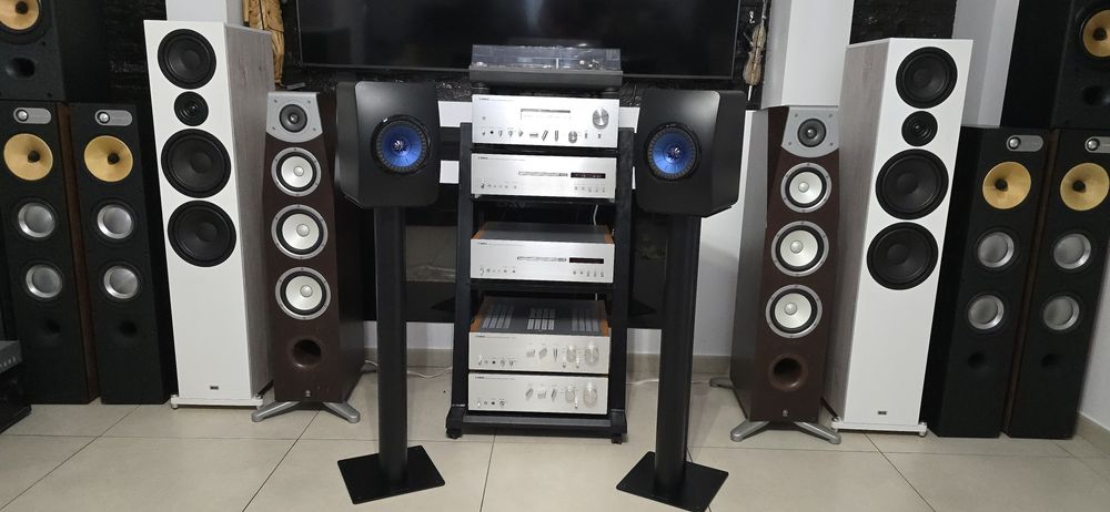 Boxe de raft KEF LS50