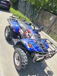 ATV Linhai Aniversary 2x4 an  2007