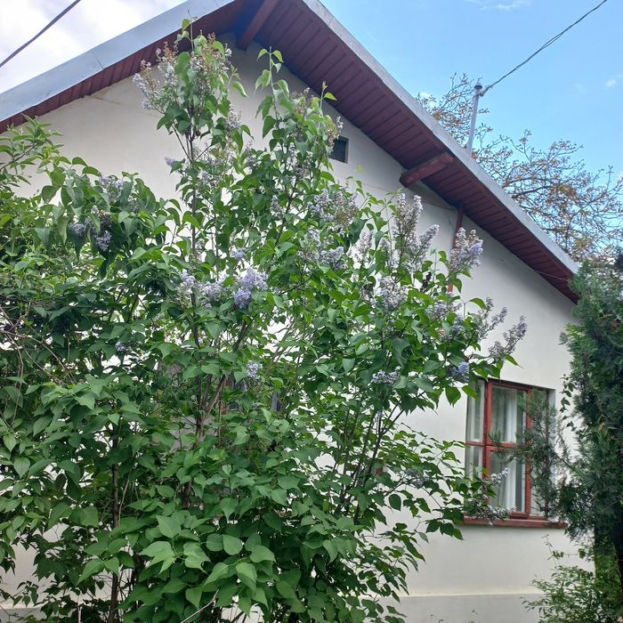 Casa de vânzare cu 3 camere,400 mp,zona Bariera Bucuresti(Timken)