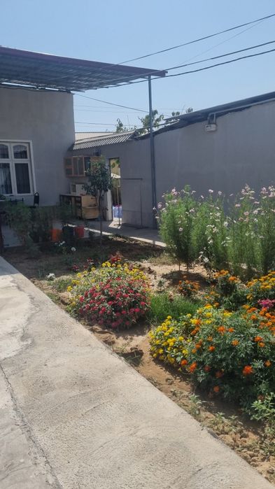 Продаётся дом масив Бинокор  11 соток