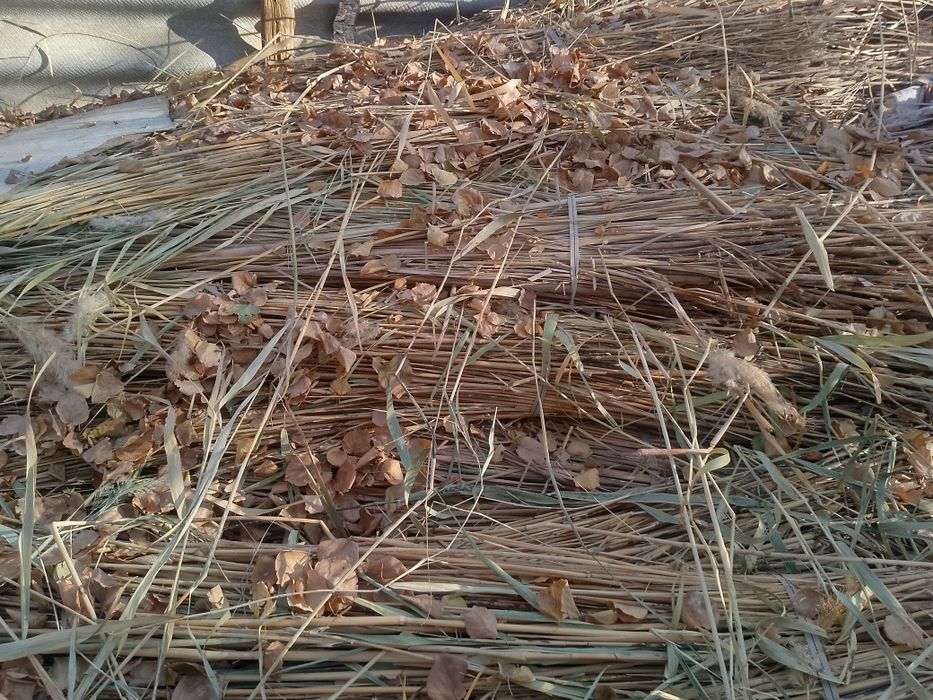 Qamish soni cheklanmagan yetkazish xizmati mavjud