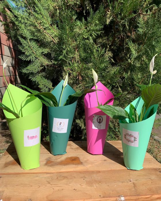 Хит Тойбастар на Свадьбу Оригинальный Подарок Тренд Доставка по КЗ