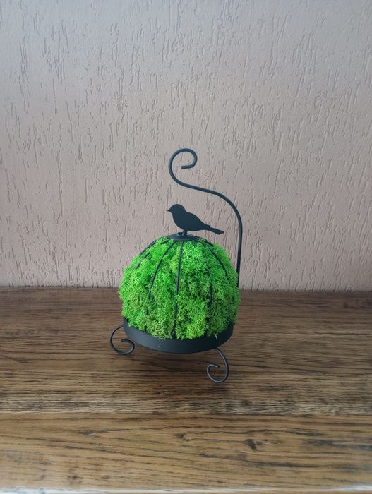 Ornamente cu lichieni