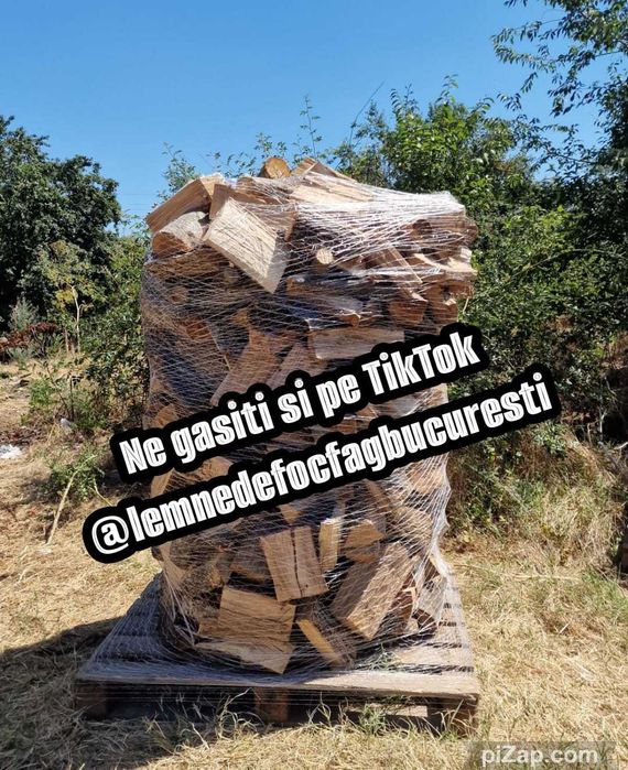 Lemne de foc fag vrac sau ambalate , gata taiate de foc .