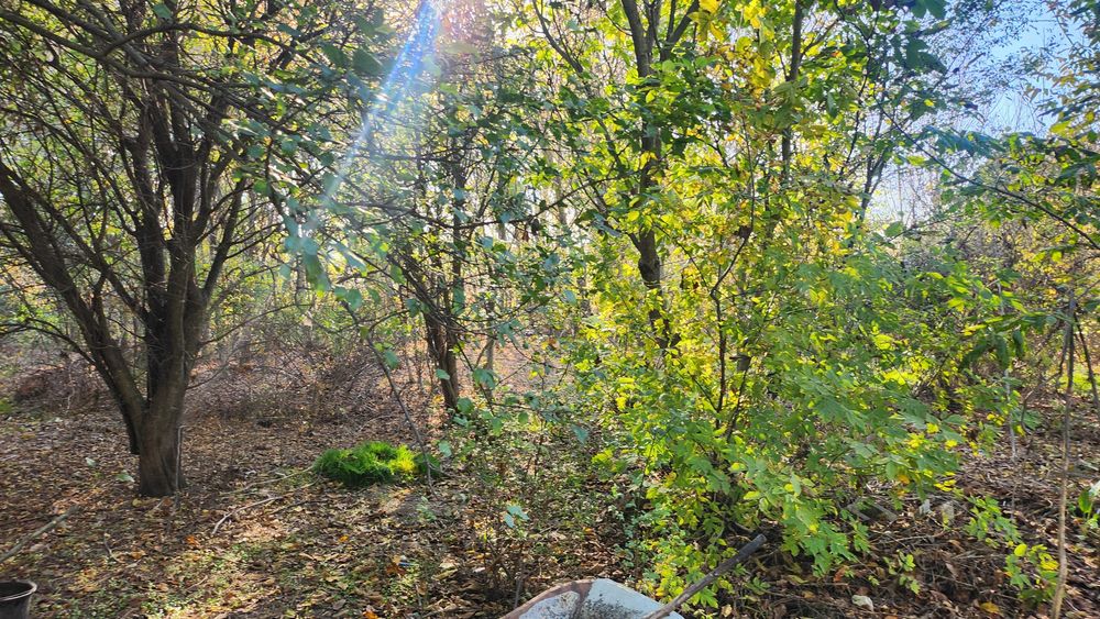 Propietar vand teren Intravilan Magurele ilfov