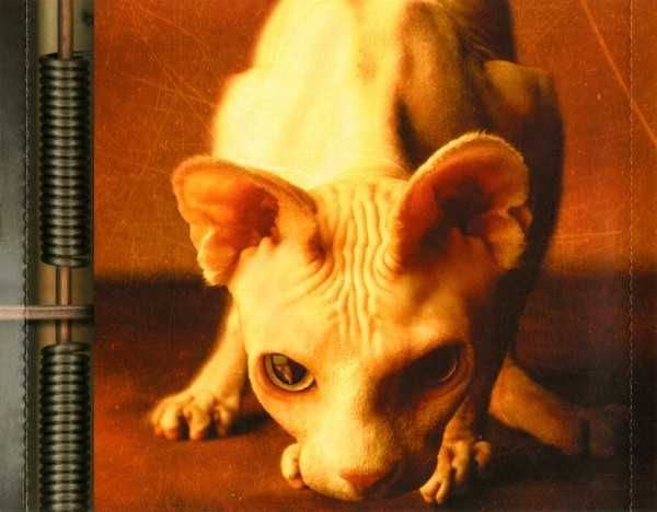 CD Megadeth - Risk 1999