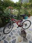 Bicicleta DHS Climber