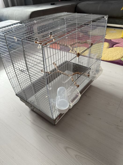 Vand cusca perusi/ papagali