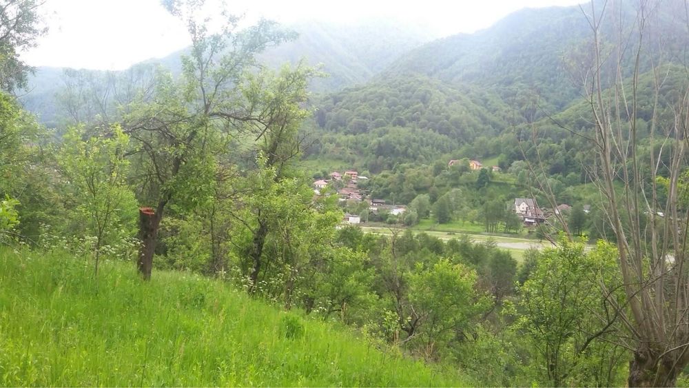 Proprietate ideala investitie(Open Air Blues Festival)-Brezoi(Valcea)