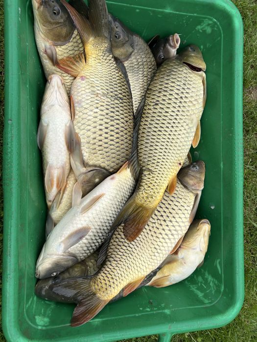 Crap de populat/consum.