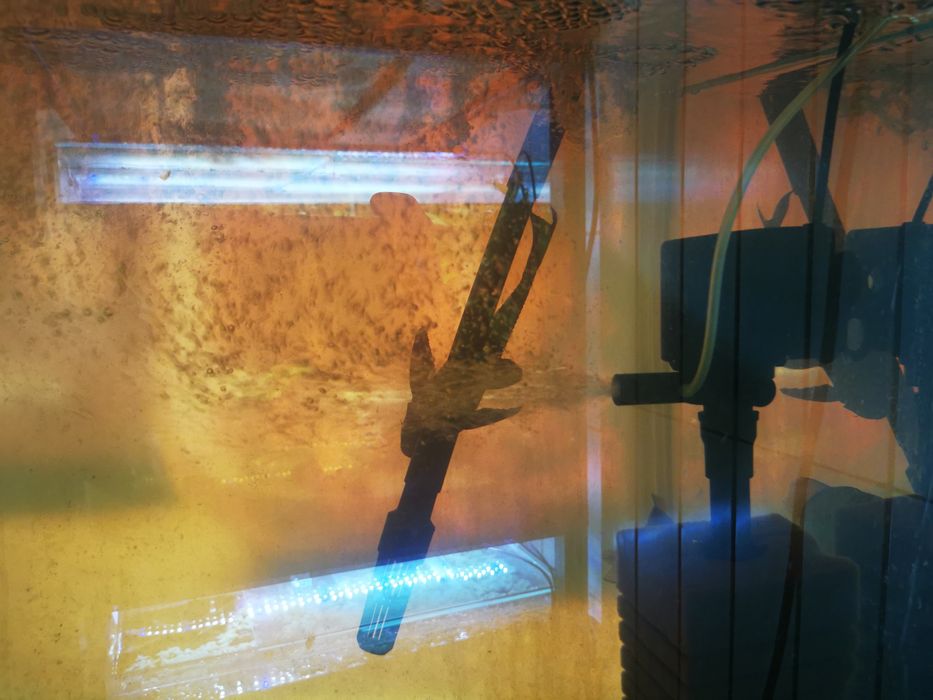 Cap de filtru oxigen