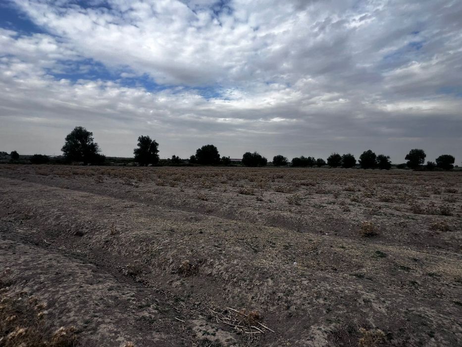 Срочно продается земля 3 гектар стация бадам