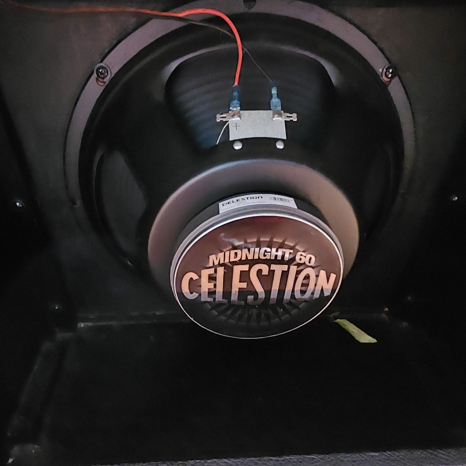 Усилвател Fender champion 50XL 50w комбо за електрическа китара.