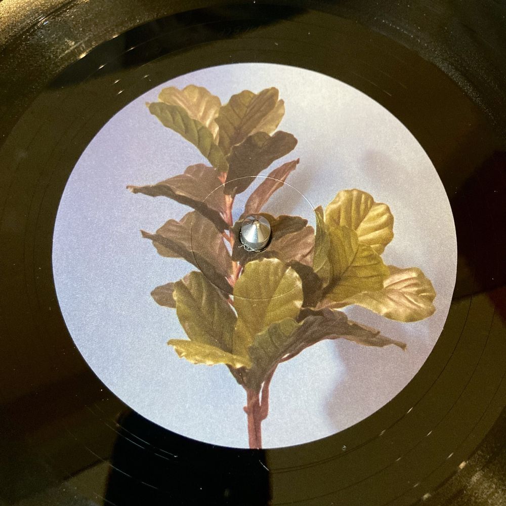 Kit Sebastian – Melodi (vinyl, LP)