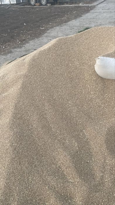 Зерно чистое по мешкам