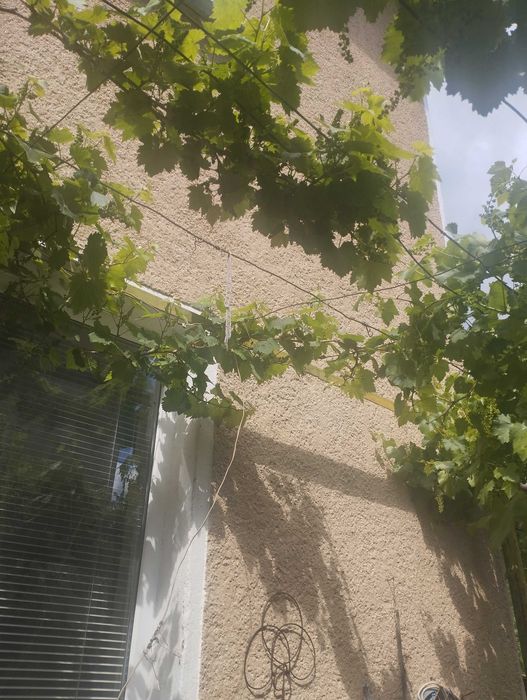 Продава се Къща в Плевен, Сторгозия - 74 кв.м за 473 €/кв.м - Снимка #2