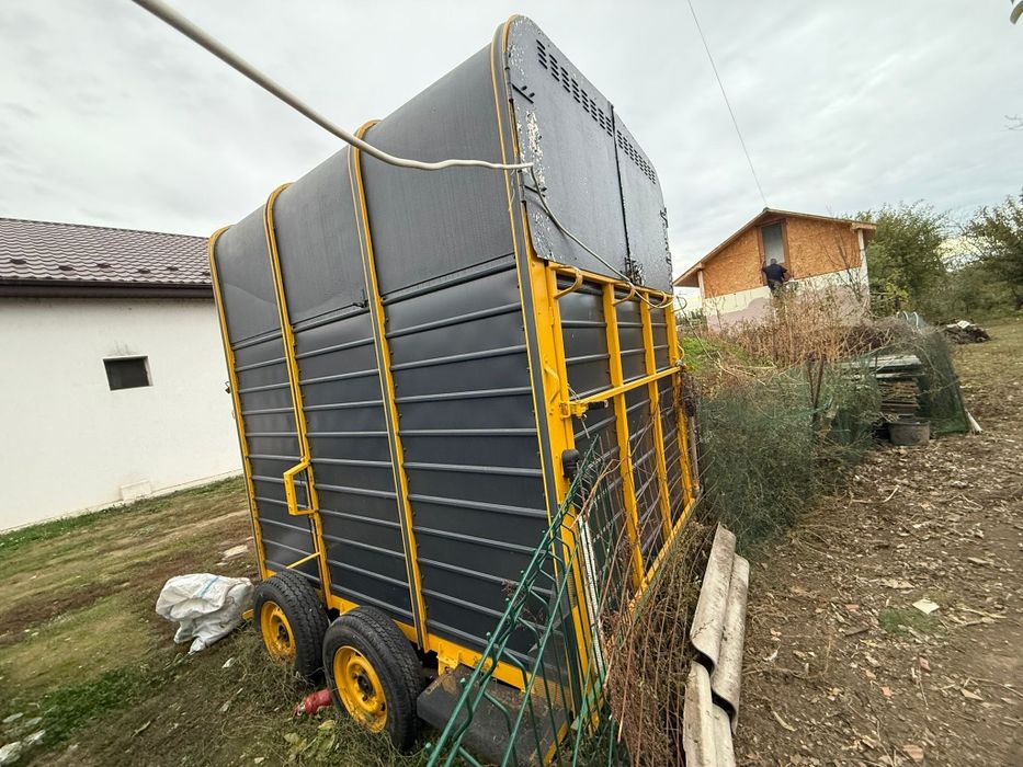 Ifor Williams Proiect / Transport Animale/ Transport Cai