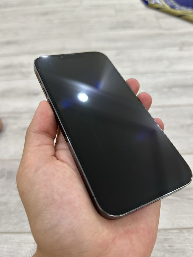 iPhone 13 Pro Max Green
