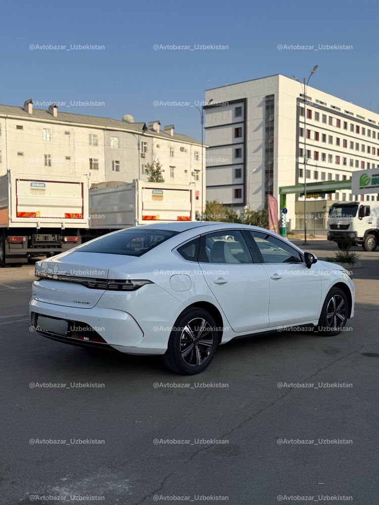 BYD Chazor Flagship•